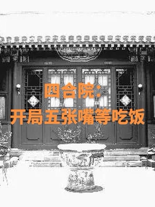 四合院：开局五张嘴等吃饭